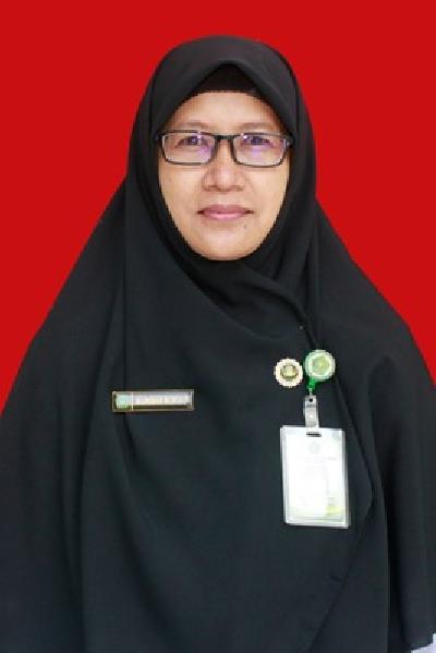 Hamidah Budhiyati, S.Sos